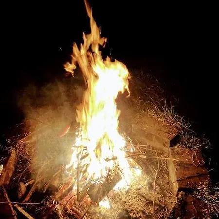 Oaza Spokoju W Lesie Stara Kiszewa